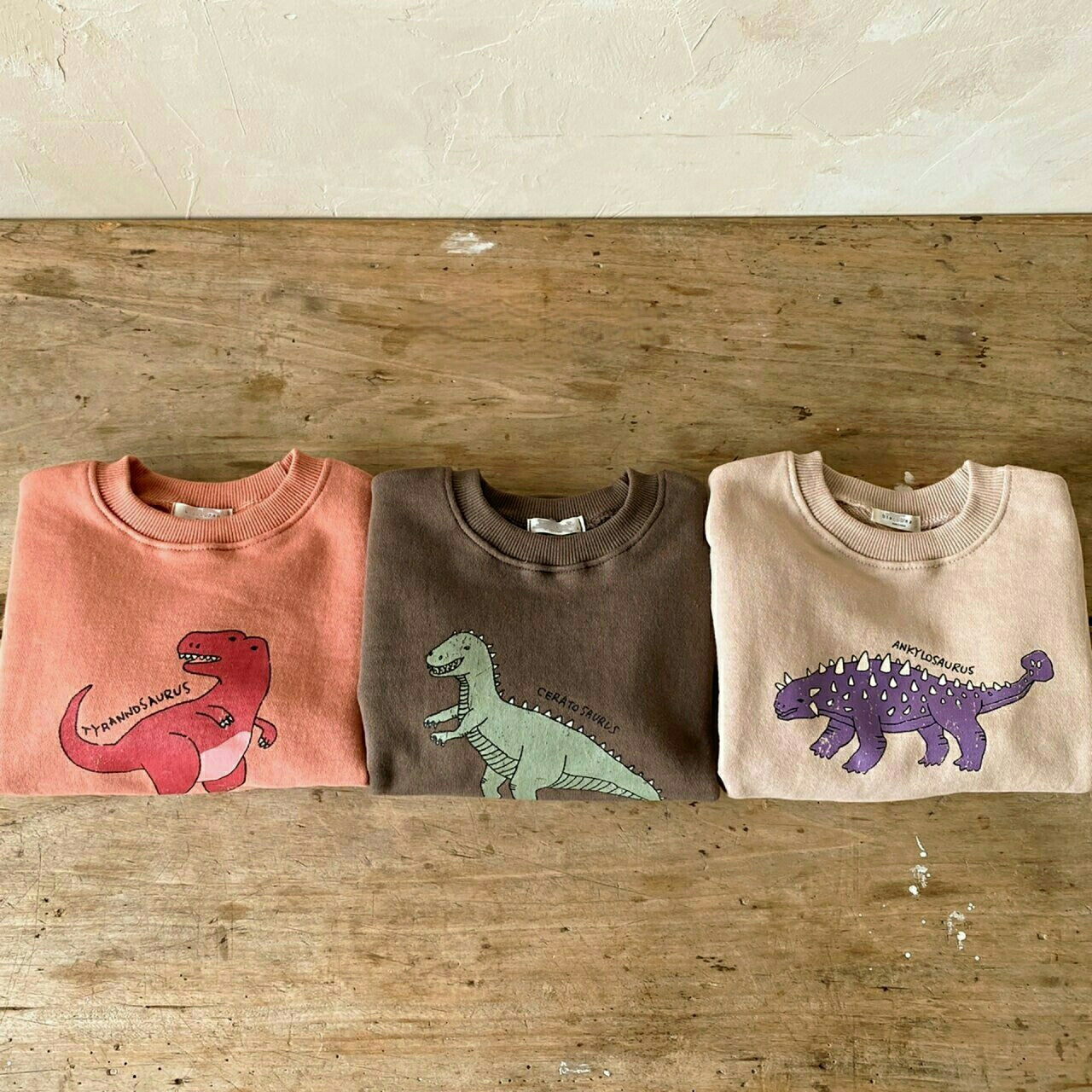 Explore our Dinosaur T-Rex Set for Kids - T-Rex Dinosaur T-Shirt Included!